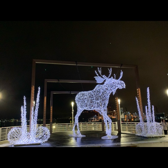 Meet your Posher, Anfar - Picture 1 of 1